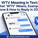 WTV Meaning in Text